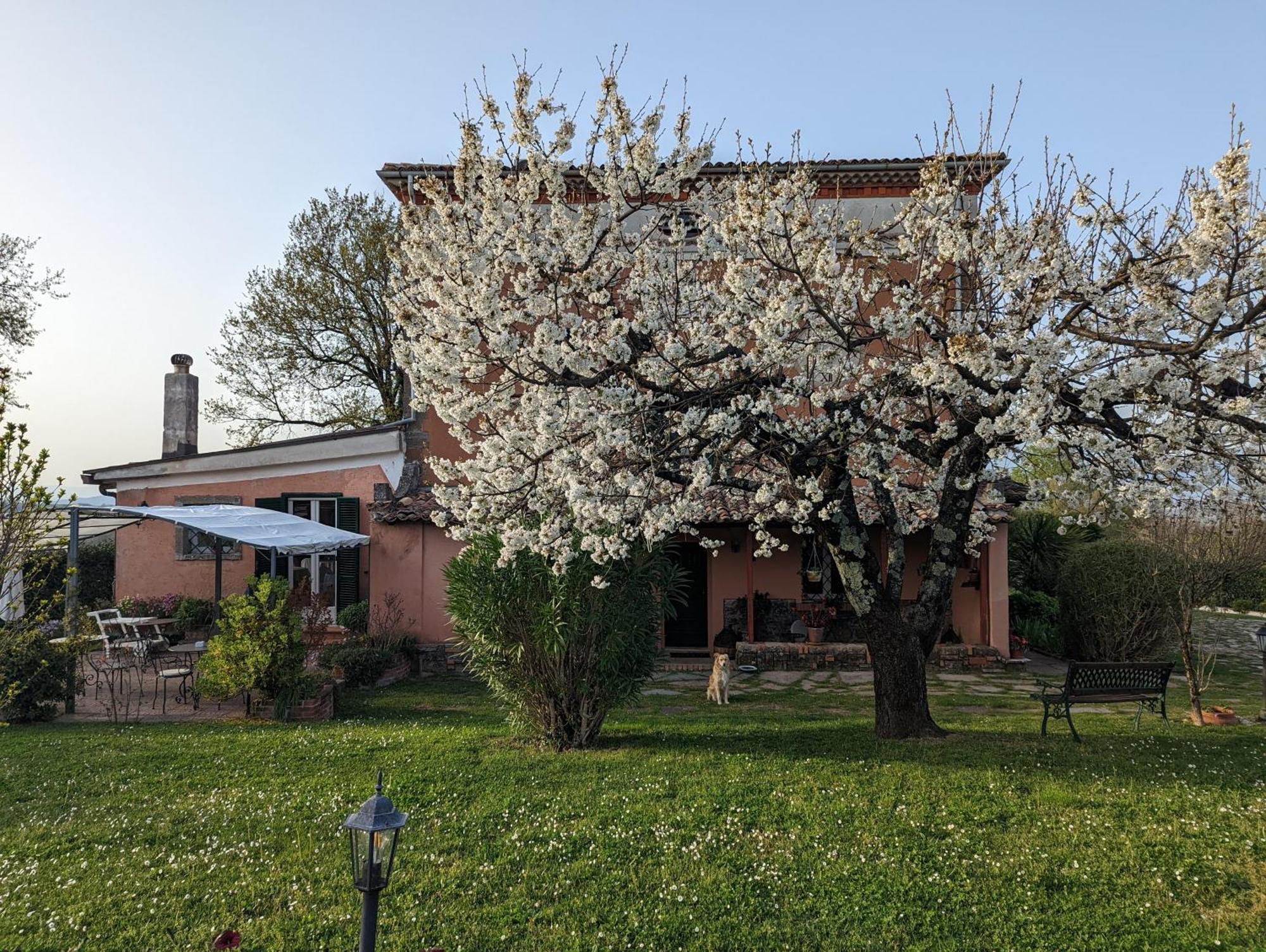 Hotel Dimora Marella Patrica - Frosinone Extérieur photo